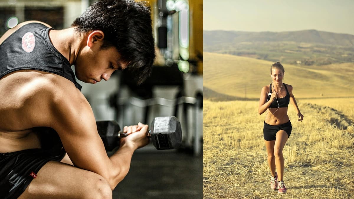 Cardio ou musculation : que choisir pour une remise en forme ?