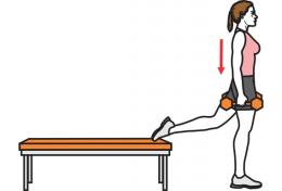 Bulgarian Split Squat illustration HexFit