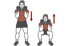 Dumbbell Squat illustration HexFit