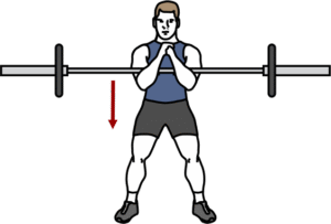Zercher Squat illustration HexFit