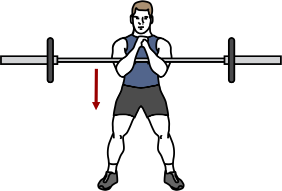Zercher Squat illustration HexFit