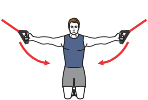 Chest Fly vers le bas