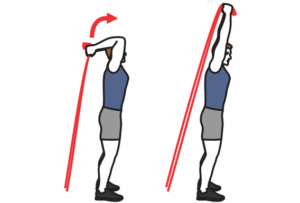 Extension triceps debout