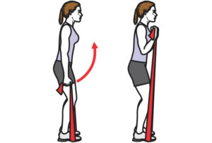 Curl biceps avec élastique