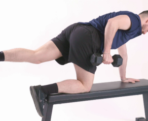 Rowing unilatéral haltères + Bird dog