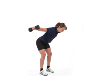 reverse fly haltères