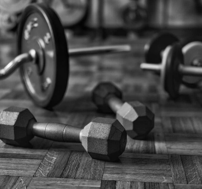 Barre ou haltères en musculation