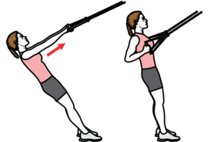 TRX Rowing