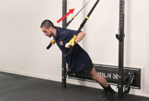 exercice Chest Press TRX